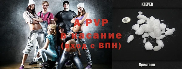 сатива Балахна