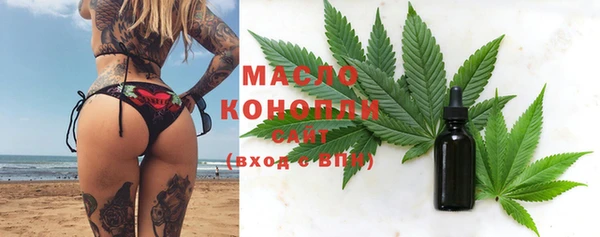 сатива Балахна