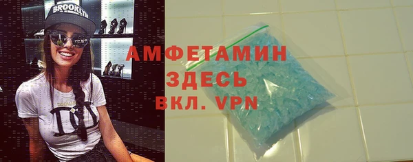 сатива Балахна