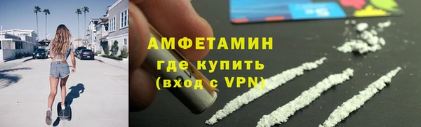 сатива Балахна