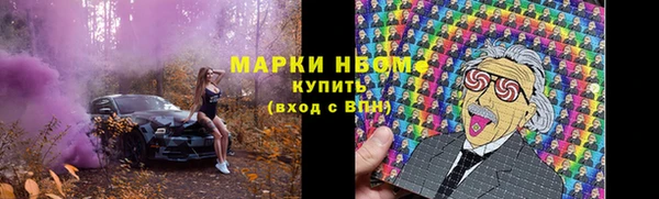 сатива Балахна