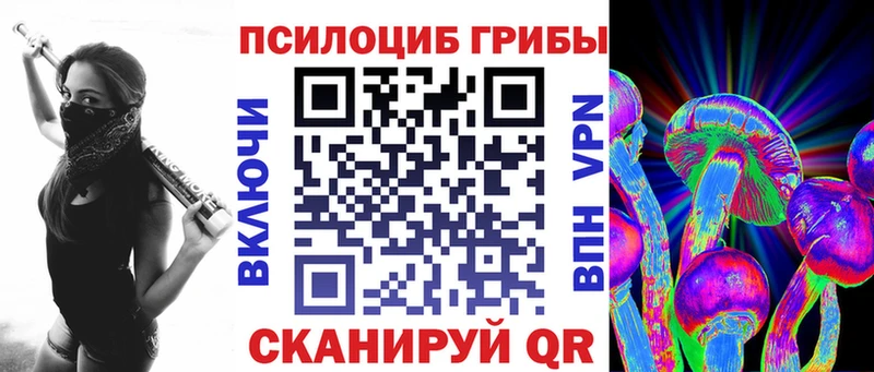 наркошоп  Нестеровская  Псилоцибиновые грибы Psilocybe 